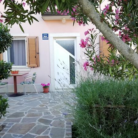 Apartmani Vesna Buje Buitenkant foto