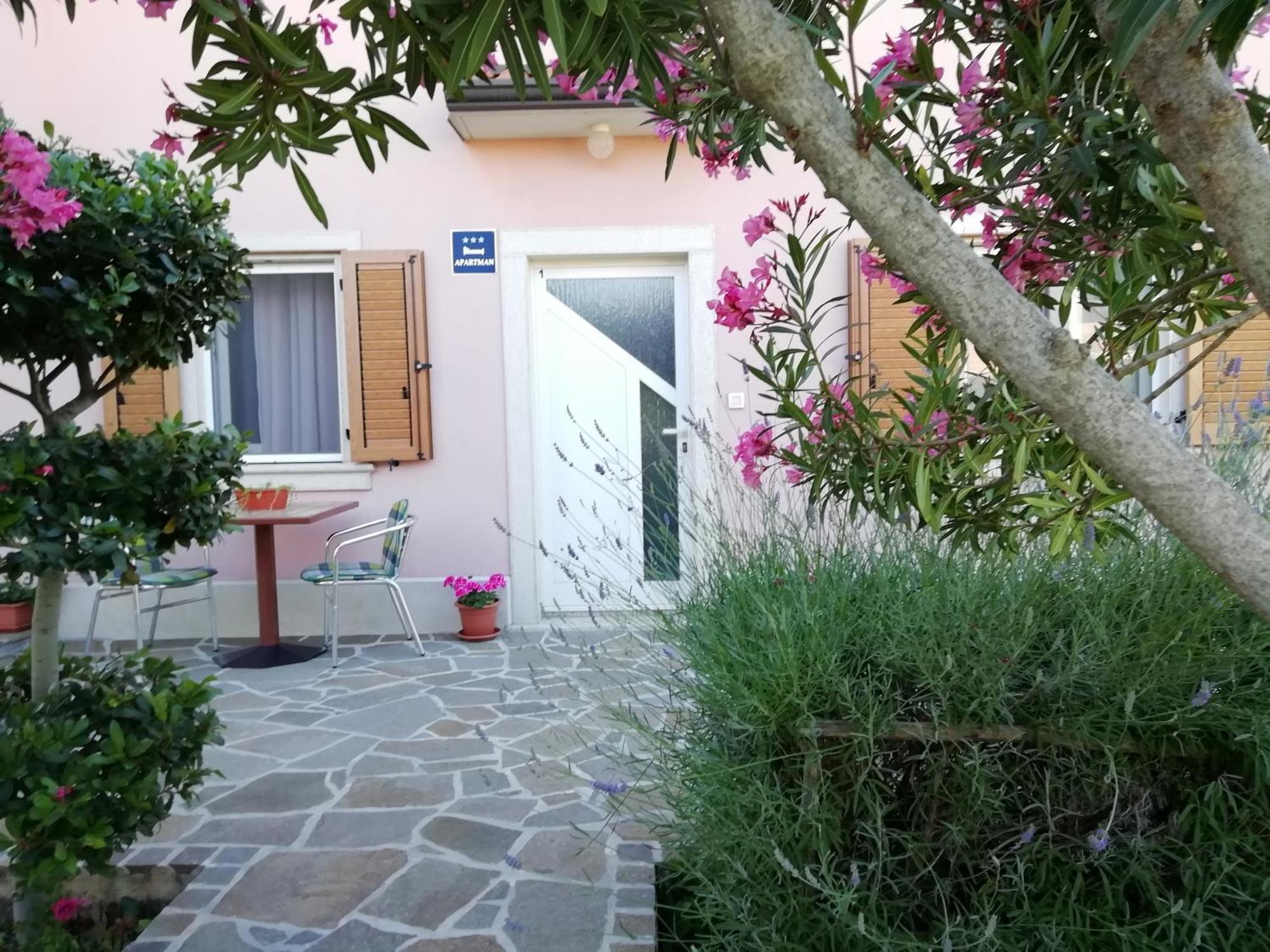 Apartmani Vesna Buje Buitenkant foto
