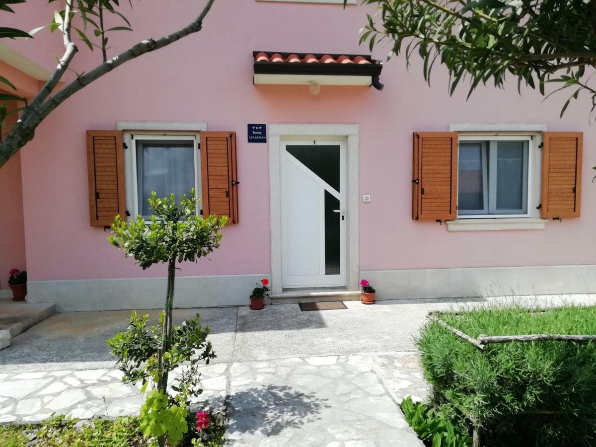 Apartmani Vesna Buje Buitenkant foto